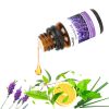 6-Bottle Therapeutic Aromatherapy Essential Oils