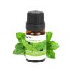 6-Bottle Therapeutic Aromatherapy Essential Oils